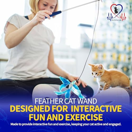 PET FIT for Life 2 Fish Feather Wand CAT Toy