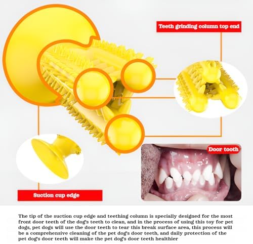lilaBelle]【Cactus Dog Toy New Dental Stick for Dogs - Teeth Cleaning & Stress Relief Chew with Sound, Treat Dispenser, TPR Safe Material, Sizes Dogs, Home/Park/Garden (Saudi Pets)