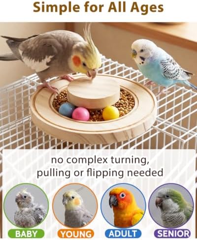 Wooden Bird Foraging Puzzle Toys with Safe Chewing Beads