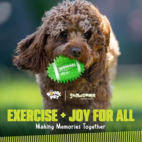 Gnawsome Dog Toys - 3.5" Spiky Squeak & Light Football - Small - Dental & Gum Wellness - Stimulating Fun - Hidden Squeaker - Durable for Heavy Chewers - 100% BPA-Free - Assorted Colors