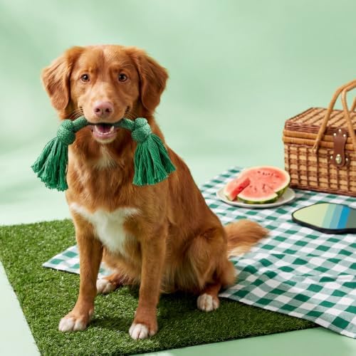 Playology Tug Rope Dog Toys for Medium Dogs - Medium, Watermelon Scent