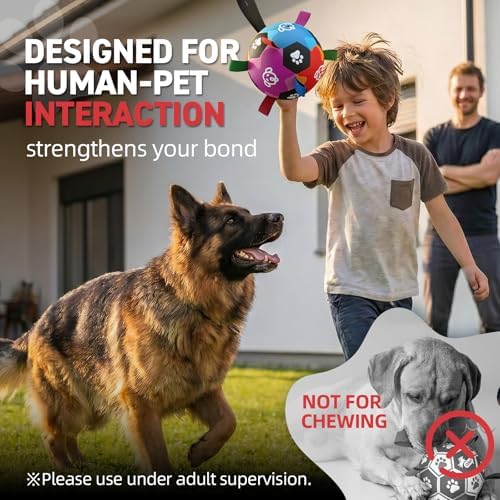 QDAN Large Dog Toys, Big Dog Balls for Aggressive Chewers, Birthday Gifts