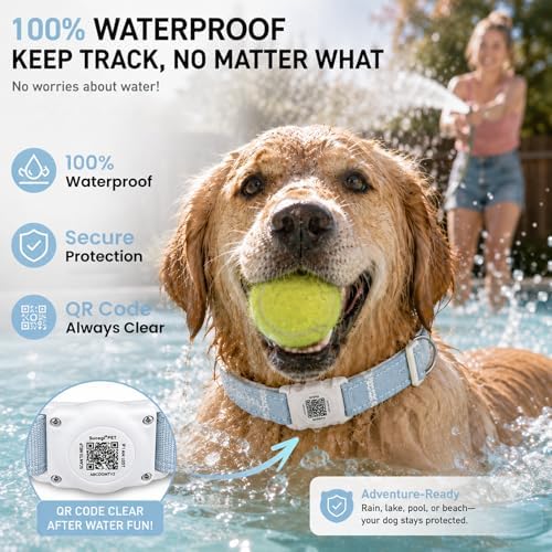 AirTag Dog Collar with QR Code ID, Dog Collar with Air Tag Holder, Blue, M