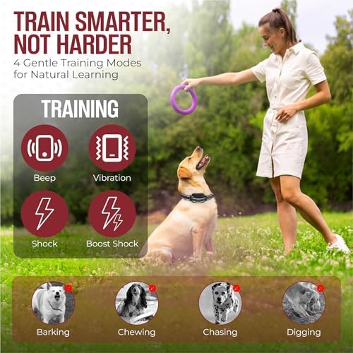 Dog Training Collar with Remote – Beep & Vibration Modes – Adjustable Levels, Waterproof Receiver, Rechargeable Training Collar for Small, Medium & Large Dogs – Up to 1000-3300FT of Range