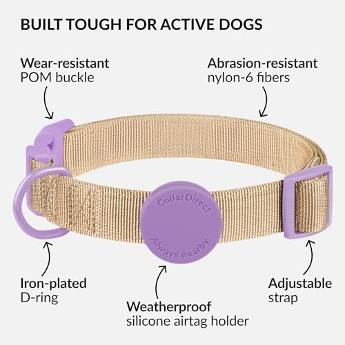 CollarDirect Airtag Nylon Dog Collar Silicon Holder Designed for Apple Airtag with QR Tags Personalized Dogs Puppies 5 Colors Black Pink Violet Green Orange (Violet, M)