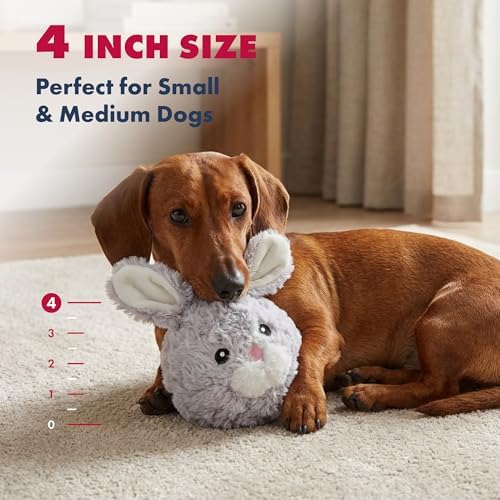 petlou Squeak Toys for Aggressive Chewers Small Medium Breed Chew Toys,Fetch Ball Indoor Ball Toys,Sqeaky Dog Toys (4" EZ Squeaky Rabbit)