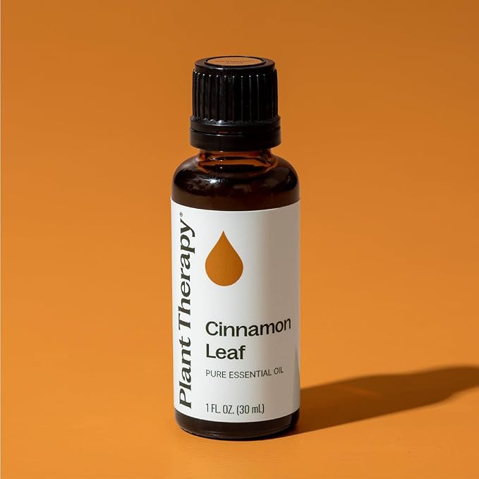 Plant Therapy Cinnamon Leaf Essential Oil 30 mL (1 oz) 100% Pure, Undiluted, Therapeutic Grade