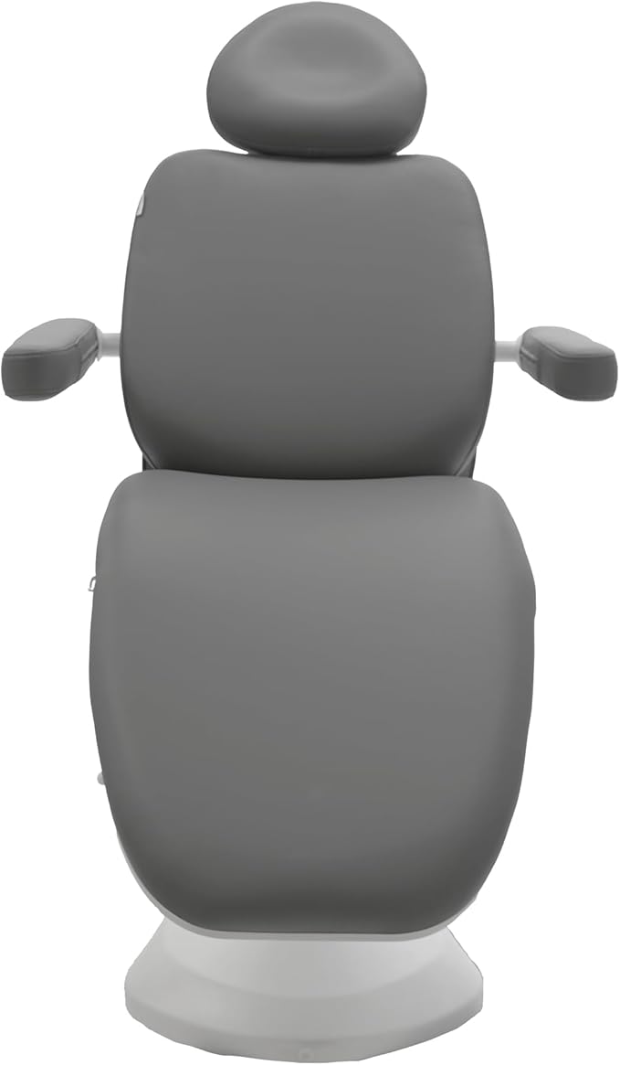 SKINACT Madison Electric Spa Facial Treatment Chair/Table (Gray)