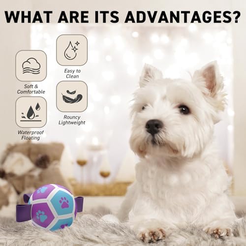 QDAN Small Dog Toys, Puppy Balls, Dog Balls with Straps for Small Breed | 3.5 Inch Small Soccer Ball for Dogs, Puppy Toys for 3-15 lbs Dogs, Dog Birthday Gift, Herding Ball for Small Dogs, Purple