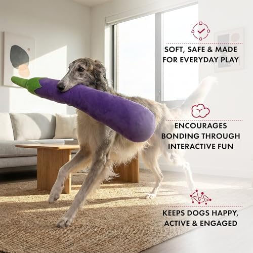 PetLou 29 Inch Fresh Food Eggplant Plush Dog Toy for Soft Chewers, Extra-Long Squeaky & Crinkle Dog Toy, Super Soft Stuffed Anti-Boredom Pet Plush Toy