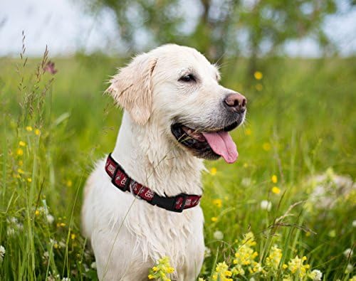 Pets First NHL Collar for Dogs & Cats. Adjustable, Cute, & Stylish! The Ultimate Hockey Fan Collar!