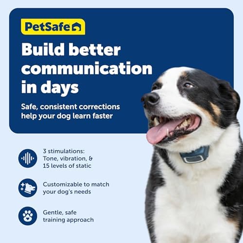 PetSafe 600 Yard Remote Training Collar Choose from Tone, Vibration, or 15 Levels of Static Stimulation Medium Range Option for Training Off Leash Dogs Waterproof and Durable Rechargeable