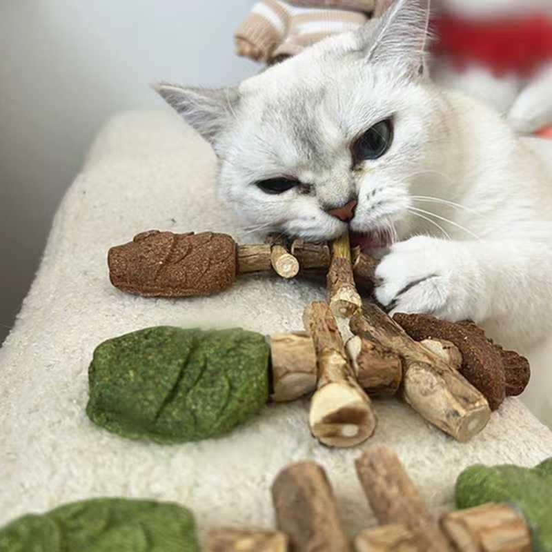 3 Pack Cat Chew - Fix Cat Dental Health, Catnip Toys for Indoor Cats, Natural Fishbone Cats Dental Toy, Durable Feline Tooth Care Tool, Kitten Teeth Cleaning Care Sticks, Galls Fruit