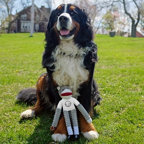 Littlearth NFL Indianapolis Colts Sock Monkey Pet Toy, Team Color, One Size