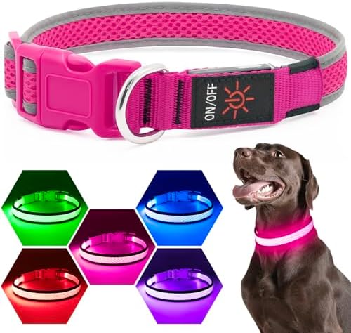 Flashseen LED Dog Collar, Light Up Dog Collar USB Rechargeable, Pink, L