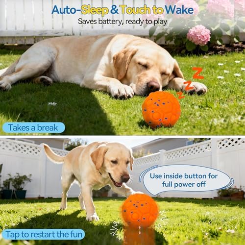 Newget Interactive Dog Toy Ball, Remote Control with 3 Play Modes Orange