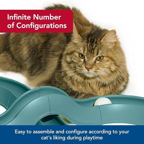 Coastal Pet Turbo Track Cat Toy - Cat Ball Toy & Racetrack - Easy Assembly - Slate Blue (1 Pack)