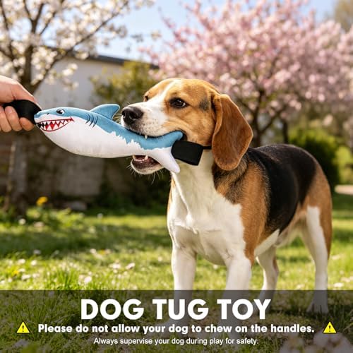 BINGPET Interactive Dog Toys for Small Dogs, Squeaky Dog Chew Toys to Keep Them Busy, Tug of War Puppy Training Toys for Chewers, Small & Medium Dogs, Fetch Lovers, Durable Puppy Necessities, Shark