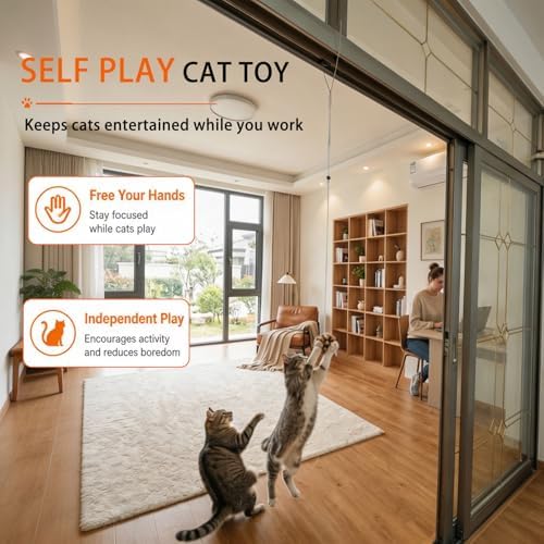 Cat Toys for Indoor Cats,Interactive Door Hanging Cat Toys Attached with Catnip/Feathers/Birds/Worm Toys for Cats/Kitten Toys(3 Pack)