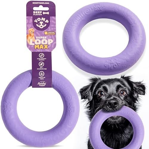 Yomp SuperLoop Max Dog Chew Ring Toy – Durable, Dishwasher Safe, for Active Play, Tug, Fetch & Chew, Freezer Safe for Teething Relief, Made of Non-Toxic, All-Natural Rubber