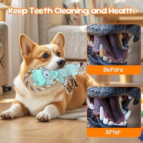 wodoca Plush Dog Chew Toys with Rope Squeaker & Crinkle Paper, Interactive Squeaky Dog Toy for Large Dogs, Tug of War Puppy Toys for Small Medium Breed, Machine Washable