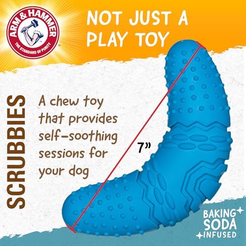 Arm & Hammer Scrubbies Boomerang Rubber Dental Chew Toy, Large, 7 in