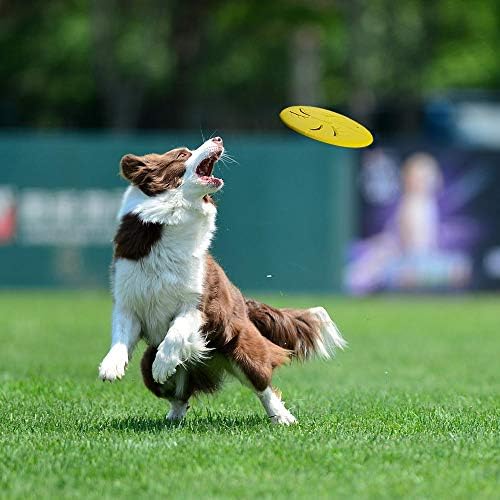 Indestructible Dog Flying Disc, Interactive Dog Flyer Toys, Soft Lightweight Catch and Fetch Toys for Medium Large Dogs, Floats in Water & Safe on Teeth, 9 inch (Large, Purple)