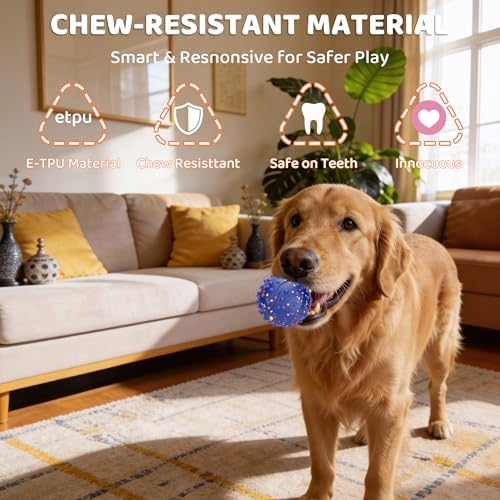 Dog Balls with Bell, Indestructible Dog Toy Ball for Aggressive Chewers, Durable High Elasticity Interactive Ball for Training Dog Catch and Fetch, Large Medium Small Dog (3in, Blue)