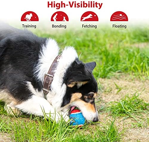 Gigwi Squeaky Dog Tennis Balls, 5 Pack Elastic Interactive Toy for Dogs