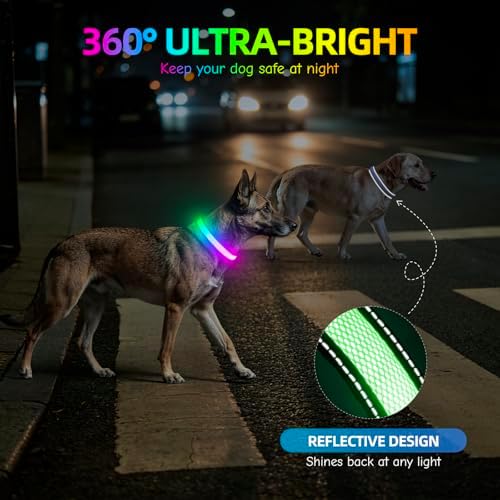 Flashseen Multicolor LED Light Up Dog Collar, RGB 9-Mode, USB Rechargable