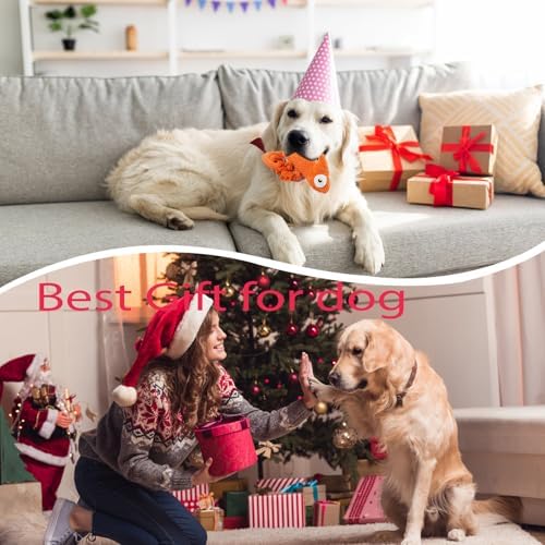 Bzonsmart Squeaky Dog Toys: Plush Soft Toys Dog Chew Toys for Puppy, Small, Medium, Large Dogs