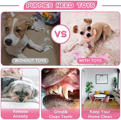Petcare 6 Pack Puppy Chew Toys for Teething Cute Pink Puppy Toys Small Dog Toys Soft Rubber Rope Dog Toys Funny Bone Ball Cleaning Teeth Dog Chew Toys Puppy Teething Toys for Puppies Yorkie