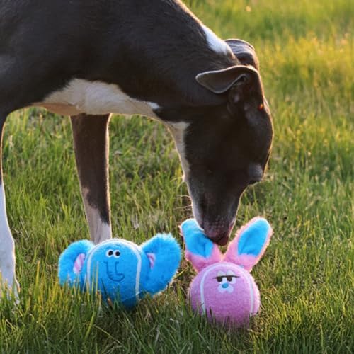 ZEZE Bonnie the Bunny Squeaky Dog Toy, Cute Plush Tennis Ball Dog Toy with Dual Squeaker & Crinkle Sound, Soft Fetch & Chew Toy for Small to Medium Dogs & Puppies, Gift-Ready Designer Pet Toy