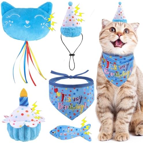 BINGPET Cat Birthday Decorations Outfit, 5 Pcs Catnip Toys for Indoor Cats