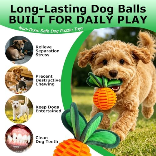 2 Pack Small Dog Chew Balls, 2.2 Inch Squeaky Treat Dispensing Toy, Interactive Puppy Ball Toy for Anxiety Relief & Boredom Reduction, Durable Pet Chew Toy for Fetching, Tugging and Dental Cleaning