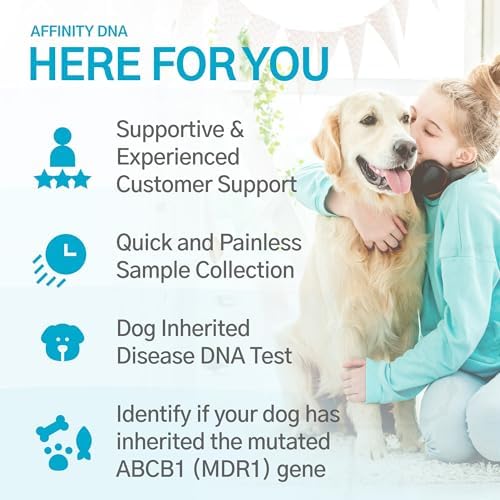 Dog Multidrug Resistance 1 (MDR1) DNA Test Kit | Home Sample Collection Kit for 1 Canine | Puppy MDR1 Testing Kits | Results in 10-15 Working Days | A Complete Kit with No Extra Fees