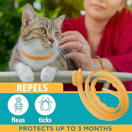 Only Natural Pet EasyDefense Non-Toxic Flea & Tick Cat Collar. Single Collar Protects for 4 Months! (1 Pack)
