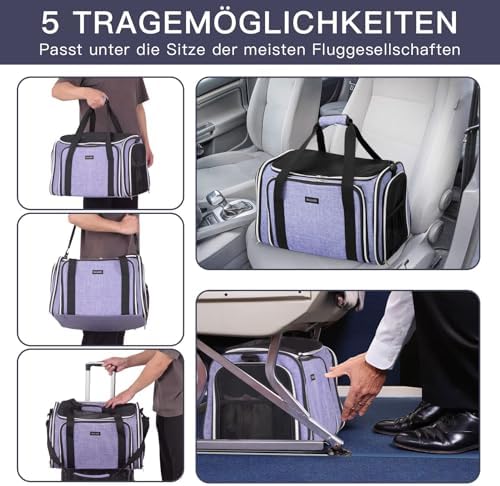BAGLHER Expandable Cat Carrier with Travel Litter Box, Pet Travel 5 Sides Open Doors 3 Sides, Leak-Proof and Collapsible, for Car, Airplane Trip, Purple