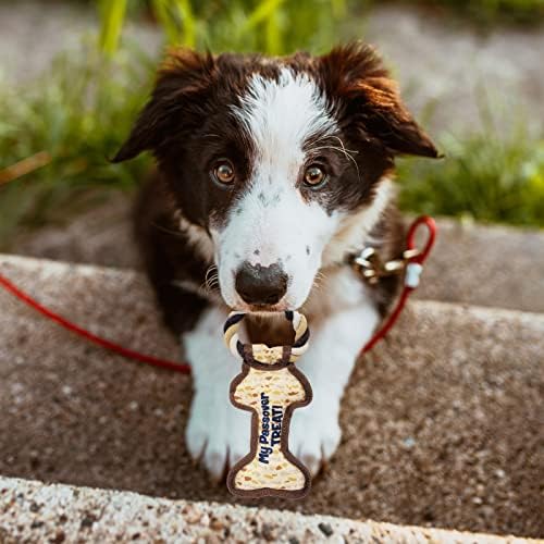 Rite Lite Chewdaica Passover Bone Squeaky Dog Toy Matzah Design Pesach Seder Gifts for Dog Owners Tough & Durable with Chew Pull Rope Jewish Holiday Party Favors Haggadah Dog Accessories 9" L