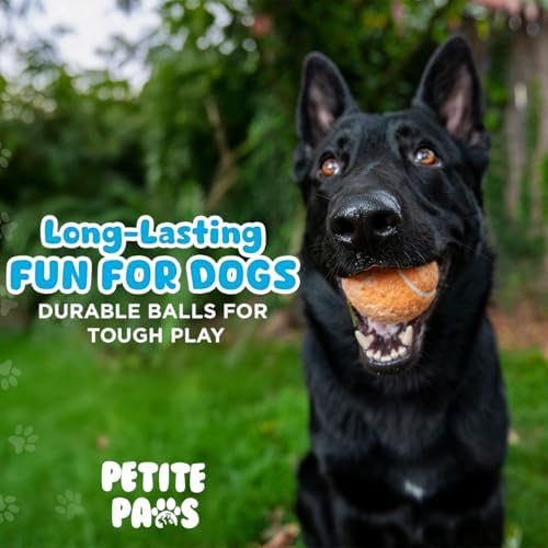 BundleBee Petite Paws Squeaky Tennis Balls for Dogs 2.5 Inch - 12 Pack Dog Toy Balls - Non-Toxic Rubber Squeaky Balls for Medium Large Dogs, Fetch Training Toys, Colorful Bouncy Dog Ball