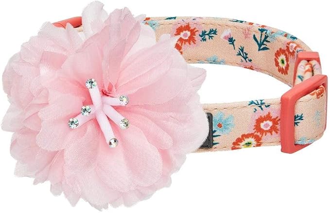 Blueberry Pet Floral Power Cosmos Designer Orange Adjustable Dog Collar with Detachable Pink Peony, Small, Neck 12"-16"