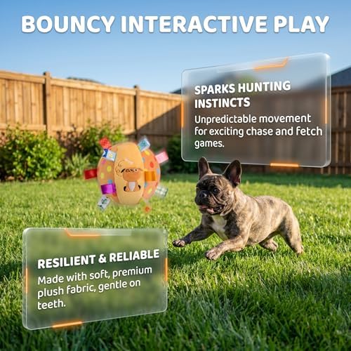 Colorful Squeaky Hanging Dog Training Toy, 6-Inch Squeaky Hanging Dog Toy, Soft Stuffed Ball with Cotton Material, Built-in Bell, Interactive Tug Chew Toy for Small Medium Dogs Indoor Play Fun (Mix-2)