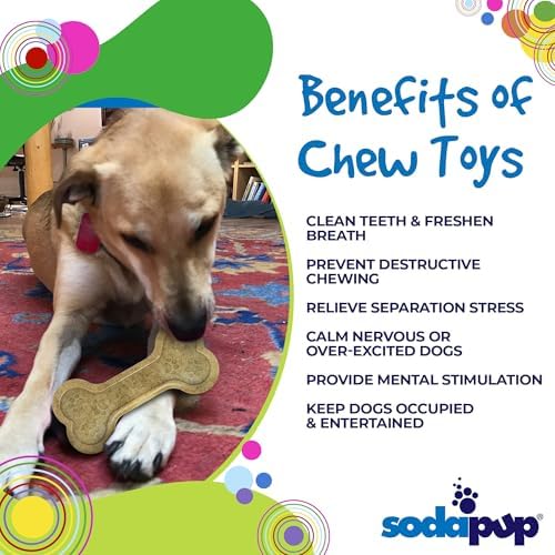 SodaPup Nylon Bone - Durable Dog Chew Toy Made in USA from Non-Toxic, Pet Safe, Food Safe Nylon Material for Mental Stimulation, Clean Teeth, Fresh Breath, Problem Chewing, Calming, & More