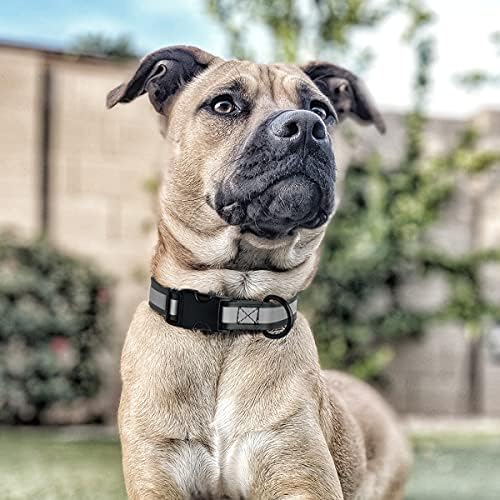 Dogline BioThane Reflective Dog Collar – Waterproof Heavy Duty Dog Collars – High Visibility Quick Release Dog Collar with Sturdy Buckle – Fun Modern Colors – Comfortable and Safe