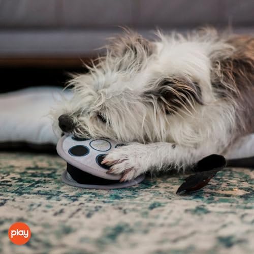 P.L.A.Y. Cute Plush Dog Toys - Hollywoof Cinema, Movie Themed Durable Squeaker Chew Toy, Great for Puppies & Small, Medium, Large Dog Breeds - Machine Washable, Recycled Materials (Momo's Movie Reel)