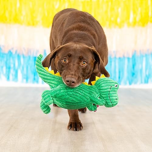 Fringe Studio Plush Dog Toy, Thorny But Cute, PetShop Collection (314156)