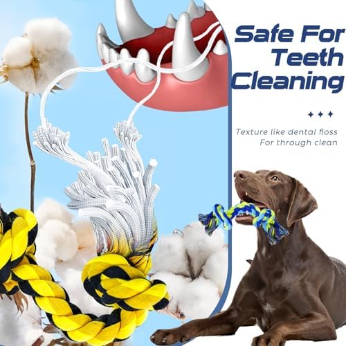 SHARLOVY Dog Chew Toys for Aggressive Chewers