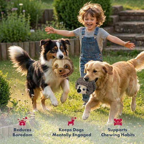 Pet Lou EZ Squeaky Ball Twin Pack, Hedgehog & Sloth Plush Dog Toys with Textured TPR Squeaky Core, Stuffing-Free Mesh-Reinforced Design, 4 Inch