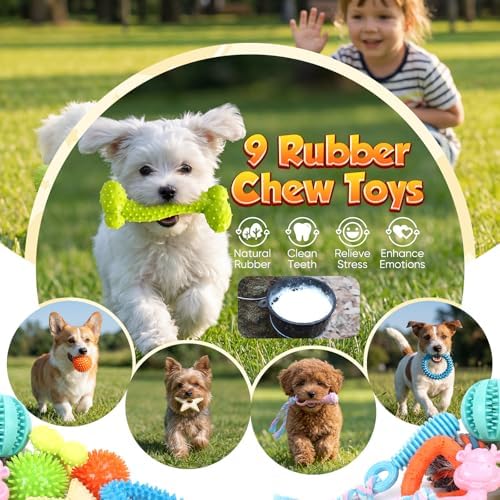 Aitmexcn 20 Pcs Puppy Toys for Small Dogs, Puppy Teething and Chew Toy Set with Squeaky Plush Toys, Treat Ball, Rubber Teething Rings and Rope Toys