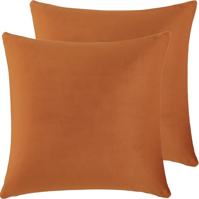 Velvet Decorative Fall Throw Pillow Covers, Soft Square Cushion Case Home Decor for Living Room Couch Bed Sofa, Set of 2 Pack, Burnt Orange, 18x18 Inch